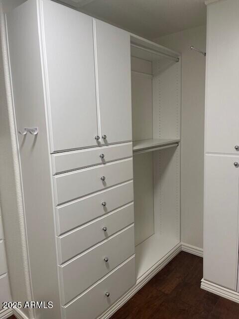 1038 South Roca Street Gilbert, AZ 85296 - Photo 35 of 47 a view of an empty walk in closet