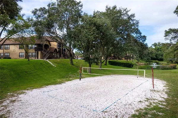 a view of a park with large trees
