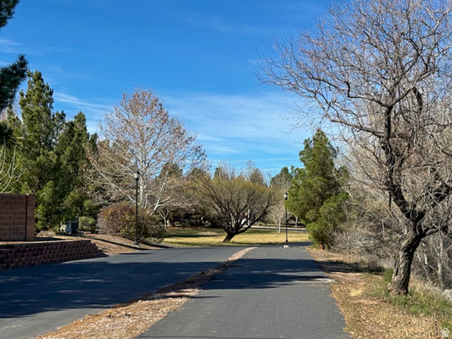 1825 West Mathis Park Place, Unit 46 St. George, UT 84770 - Photo 45 of 45 View of street