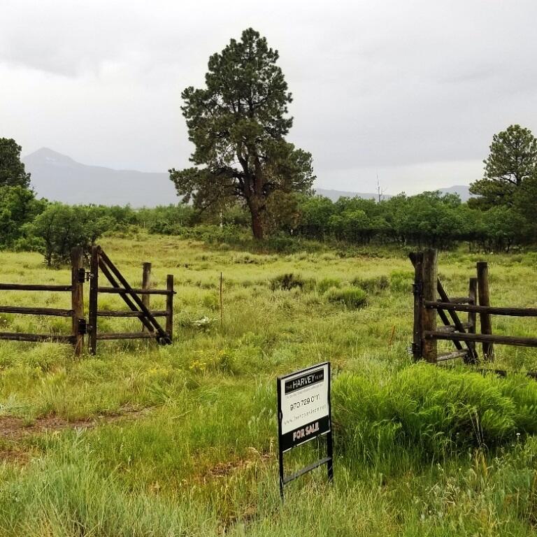 1400 South Point Road Placerville, CO 81430 - Photo 2 of 23 Lot 35 Gate entrance1