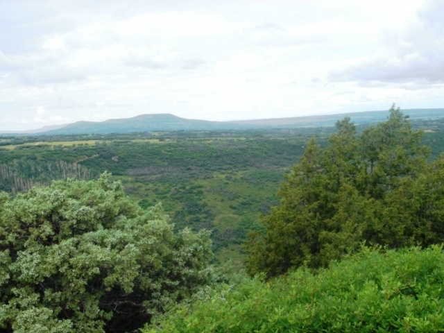 1400 South Point Road Placerville, CO 81430 - Photo 11 of 23 dsc01403