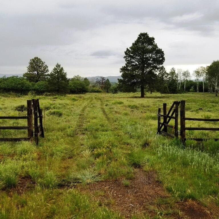 1400 South Point Road Placerville, CO 81430 - Photo 3 of 23 Lot 35 Gate entrance