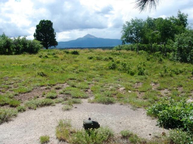 1400 South Point Road Placerville, CO 81430 - Photo 23 of 23 Well cap