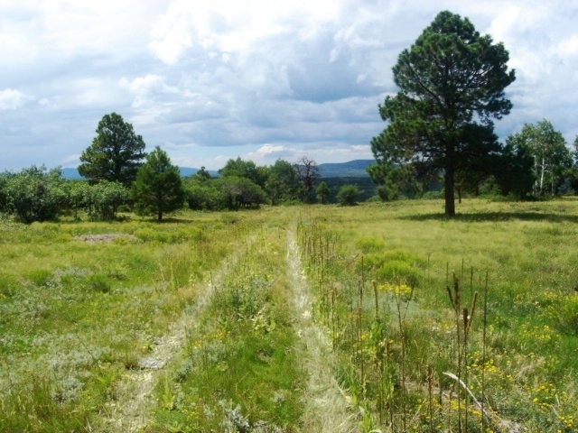 1400 South Point Road Placerville, CO 81430 - Photo 7 of 23 entrance5