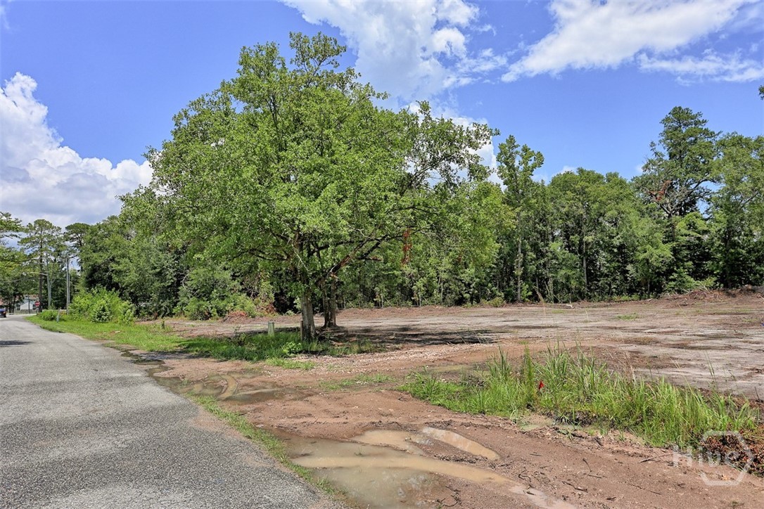 91 Huger Street Rincon, GA 31326 - Photo 23 of 36 Gallery Image 23