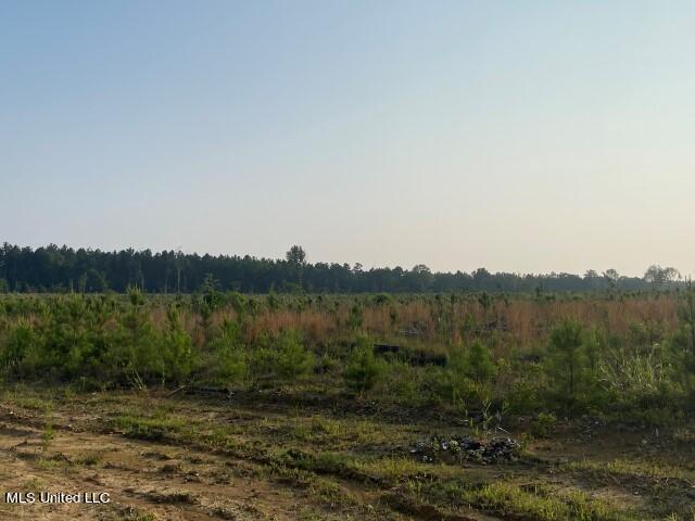 Mink Branch Road Morton, MS 39117 - Photo 12 of 21 IMG_9218