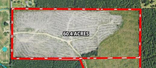 Mink Branch Road Morton, MS 39117 - Photo 2 of 21 Screenshot 2024-08-02 121437