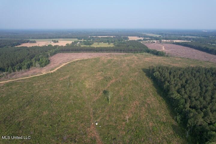 Mink Branch Road Morton, MS 39117 - Photo 4 of 21 DJI_0175