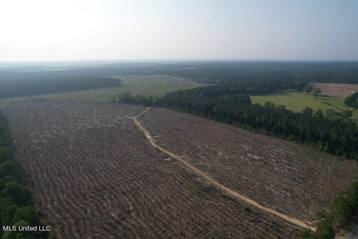 Mink Branch Road Morton, MS 39117 - Photo 5 of 21 DJI_0182