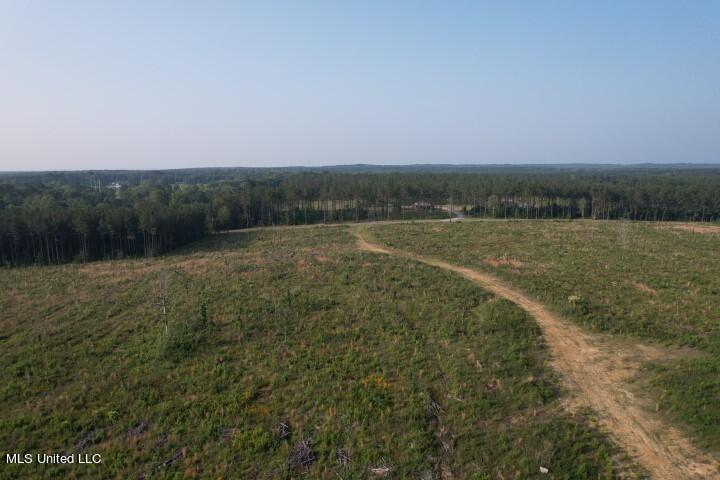 Mink Branch Road Morton, MS 39117 - Photo 7 of 21 DJI_0178