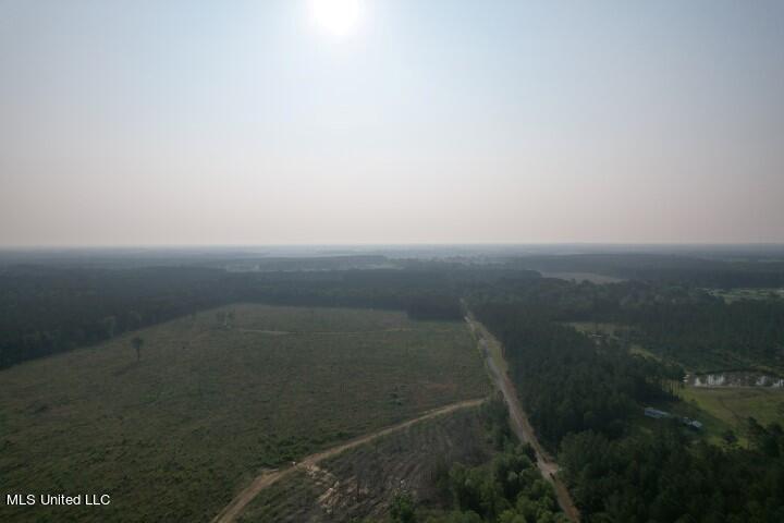 Mink Branch Road Morton, MS 39117 - Photo 10 of 21 DJI_0186