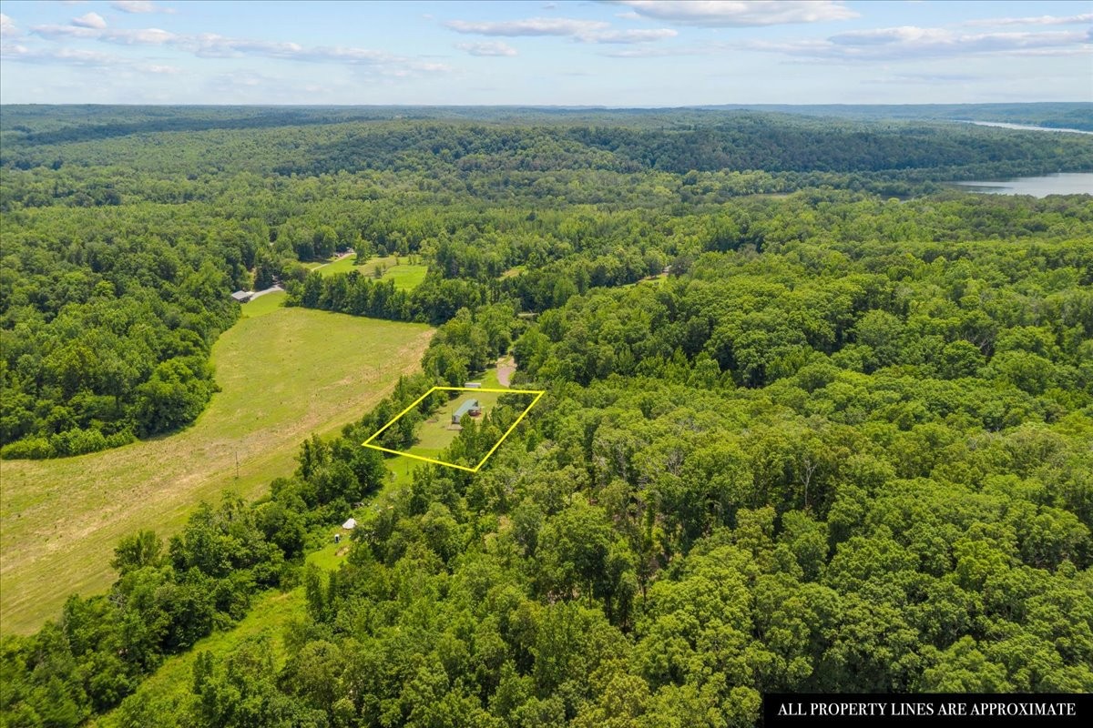 2900 Jack Branch Road Waverly, TN 37185 - Photo 27 of 51