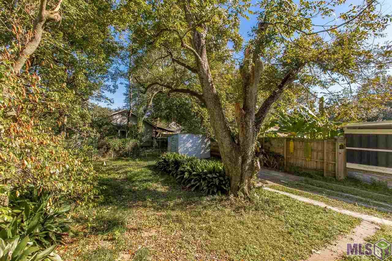 1459-1461 Perkins Road Baton Rouge, LA 70808 - Photo 5 of 38