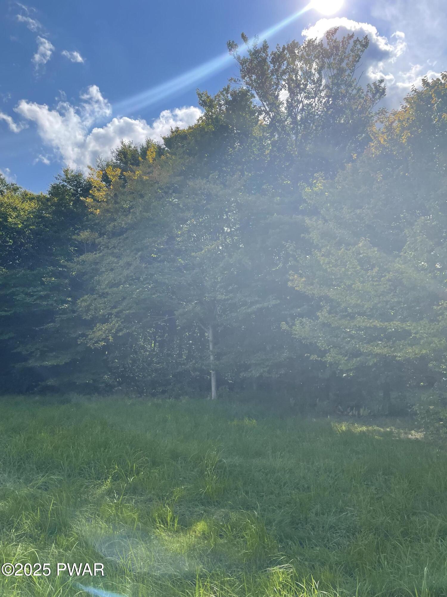 65 Mane Street Equinunk, PA 18417 - Photo 14 of 18
