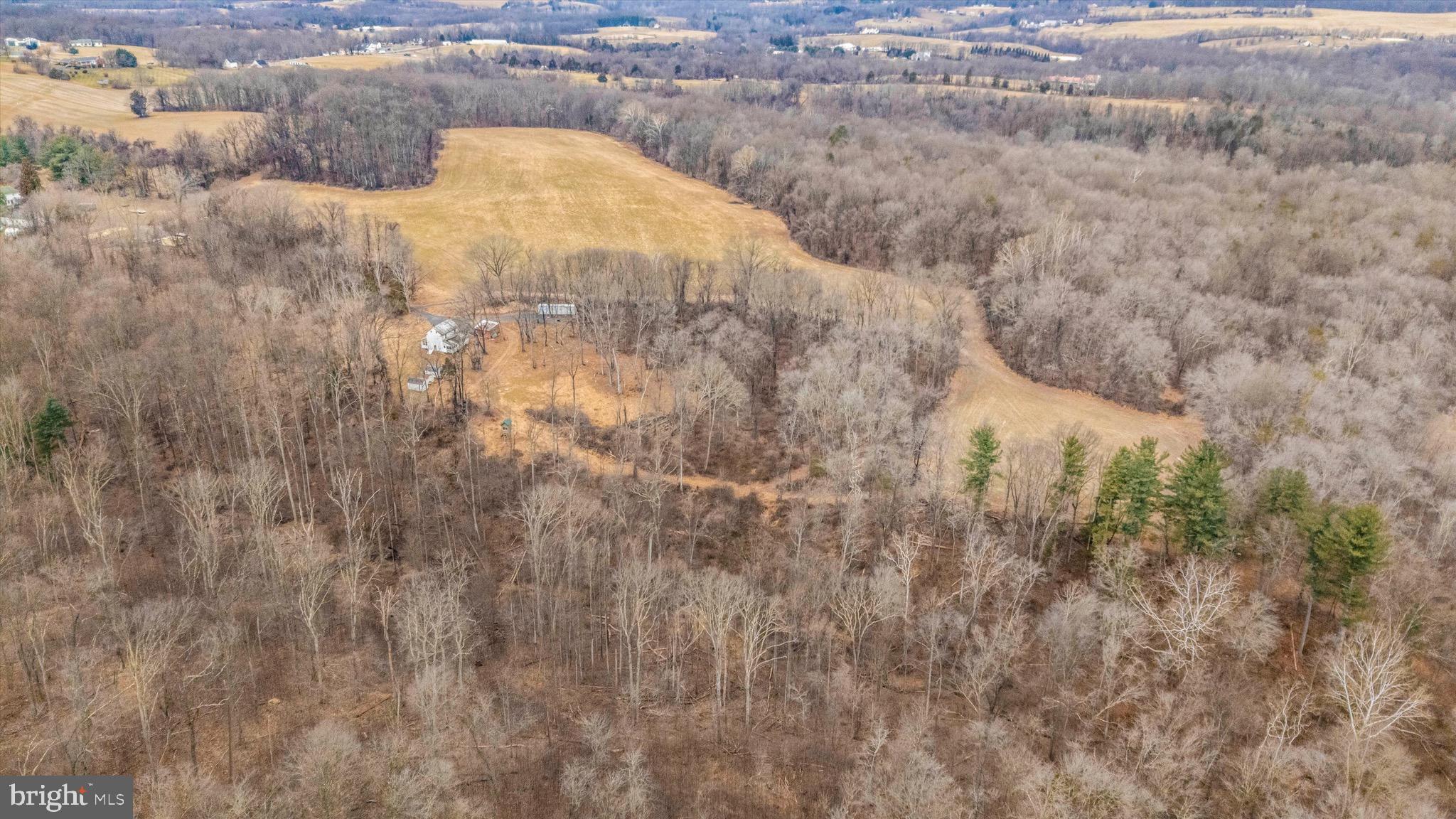 10895 Bethesda Church Road Damascus, MD 20872 - Photo 4 of 7 a view of a dry yard