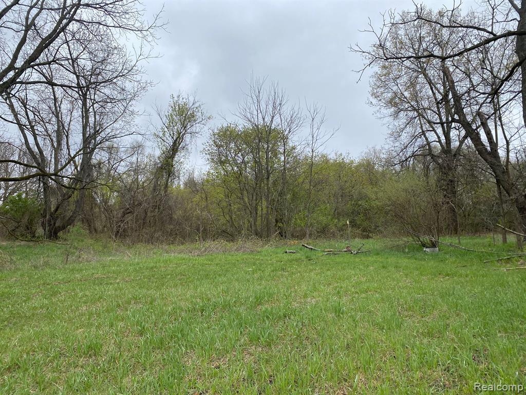0 West Rose Center Road Holly, MI 48442 - Photo 7 of 7