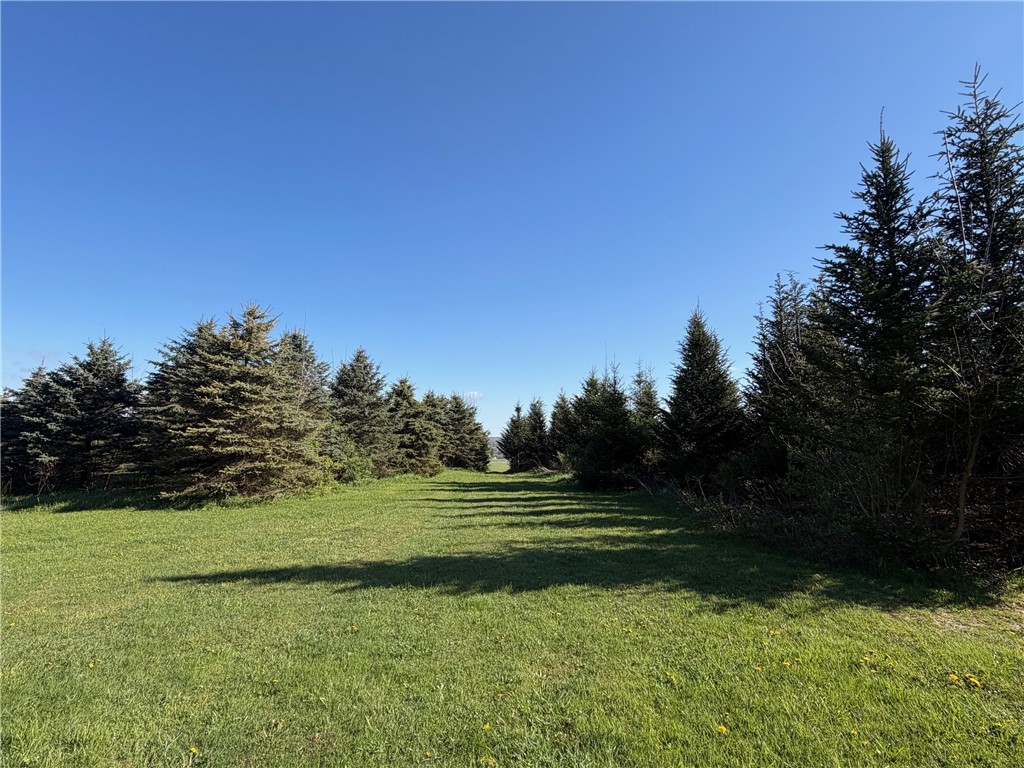 9467 Reagan Road French Creek, NY 14724 - Photo 11 of 50