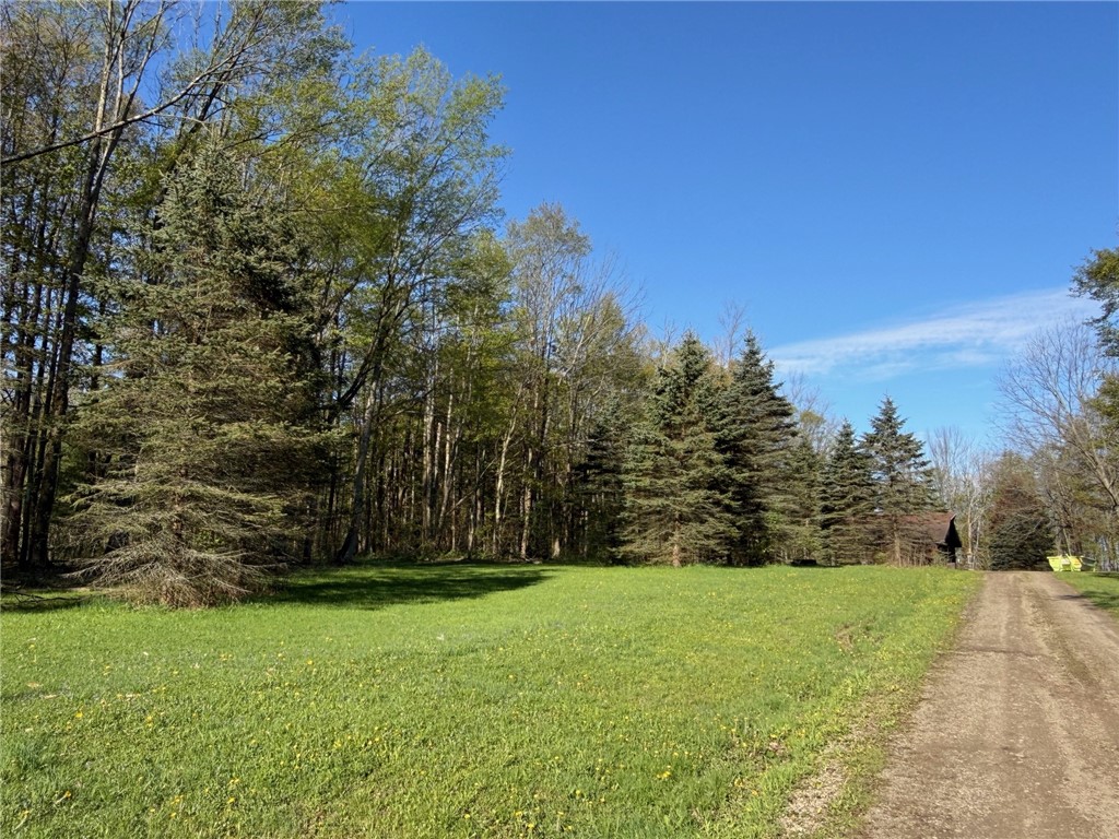 9467 Reagan Road French Creek, NY 14724 - Photo 13 of 50