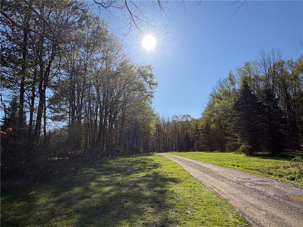 9467 Reagan Road French Creek, NY 14724 - Photo 14 of 50