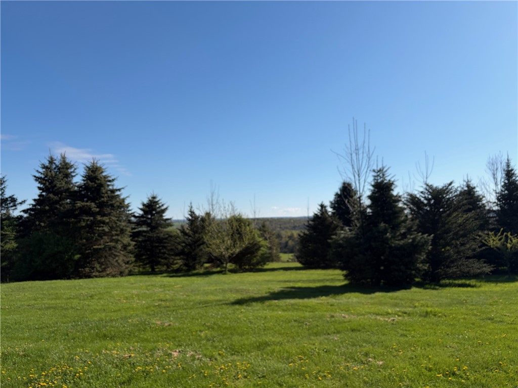 9467 Reagan Road French Creek, NY 14724 - Photo 15 of 50