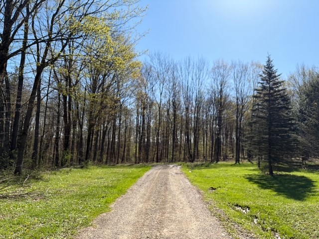 9467 Reagan Road French Creek, NY 14724 - Photo 36 of 50