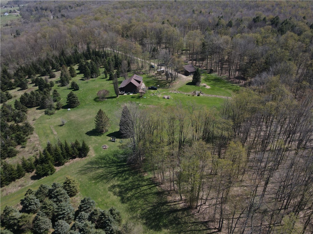 9467 Reagan Road French Creek, NY 14724 - Photo 37 of 50