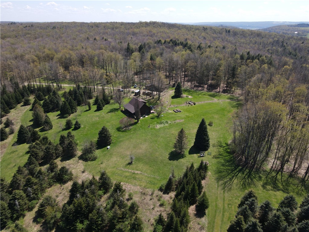 9467 Reagan Road French Creek, NY 14724 - Photo 38 of 50