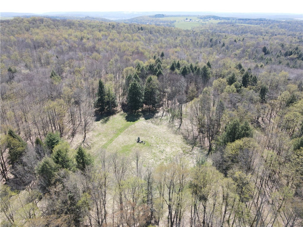 9467 Reagan Road French Creek, NY 14724 - Photo 39 of 50