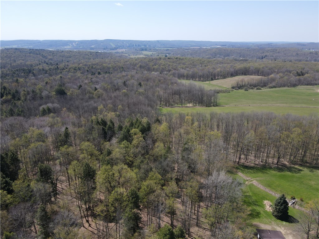 9467 Reagan Road French Creek, NY 14724 - Photo 40 of 50