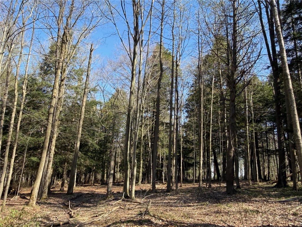 9467 Reagan Road French Creek, NY 14724 - Photo 42 of 50