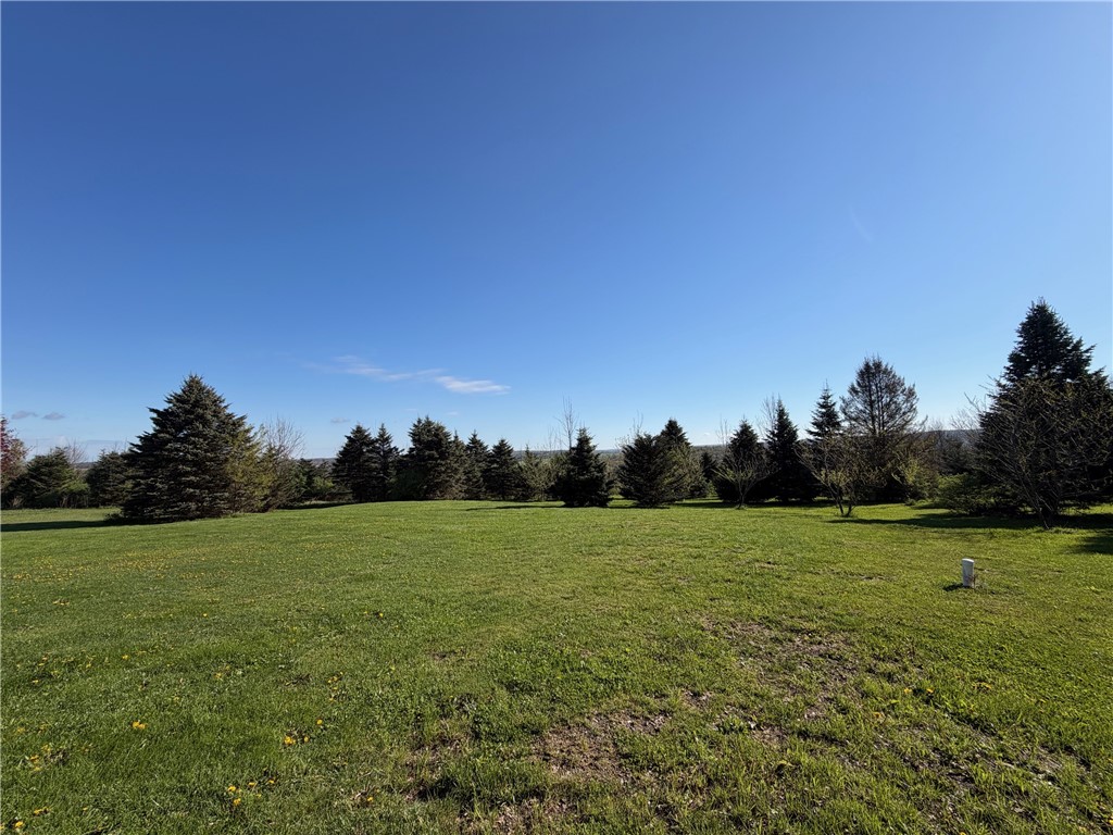 9467 Reagan Road French Creek, NY 14724 - Photo 45 of 50