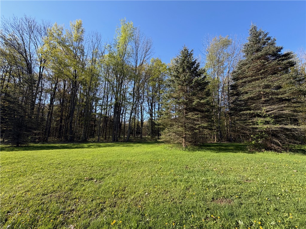 9467 Reagan Road French Creek, NY 14724 - Photo 46 of 50