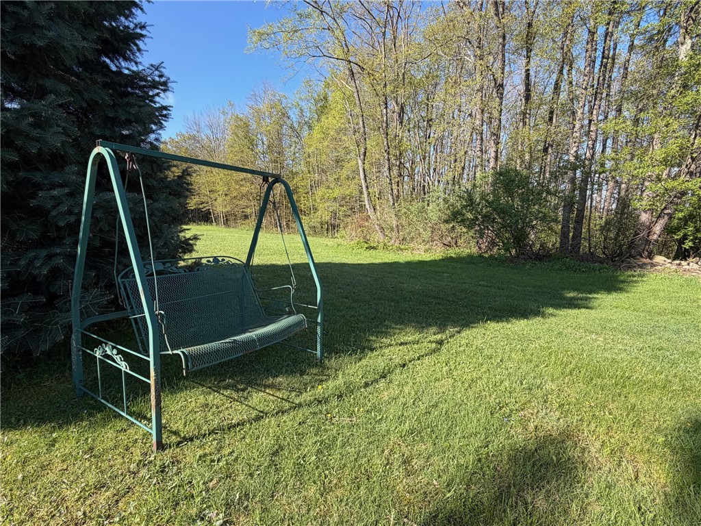 9467 Reagan Road French Creek, NY 14724 - Photo 48 of 50