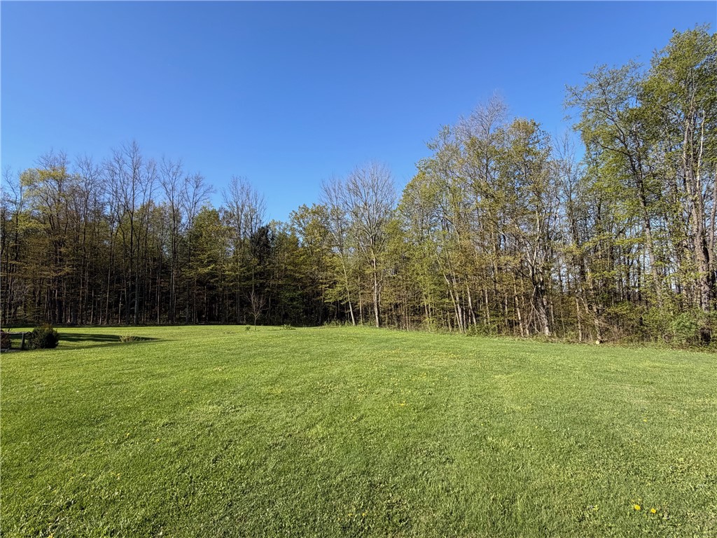 9467 Reagan Road French Creek, NY 14724 - Photo 49 of 50