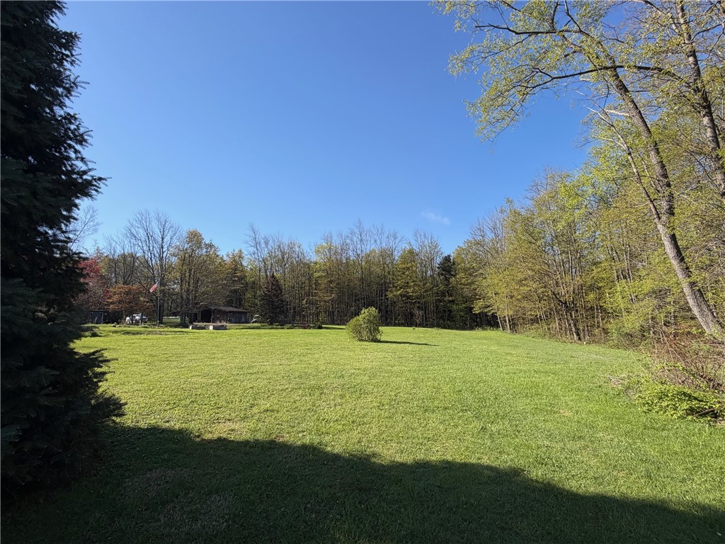 9467 Reagan Road French Creek, NY 14724 - Photo 50 of 50