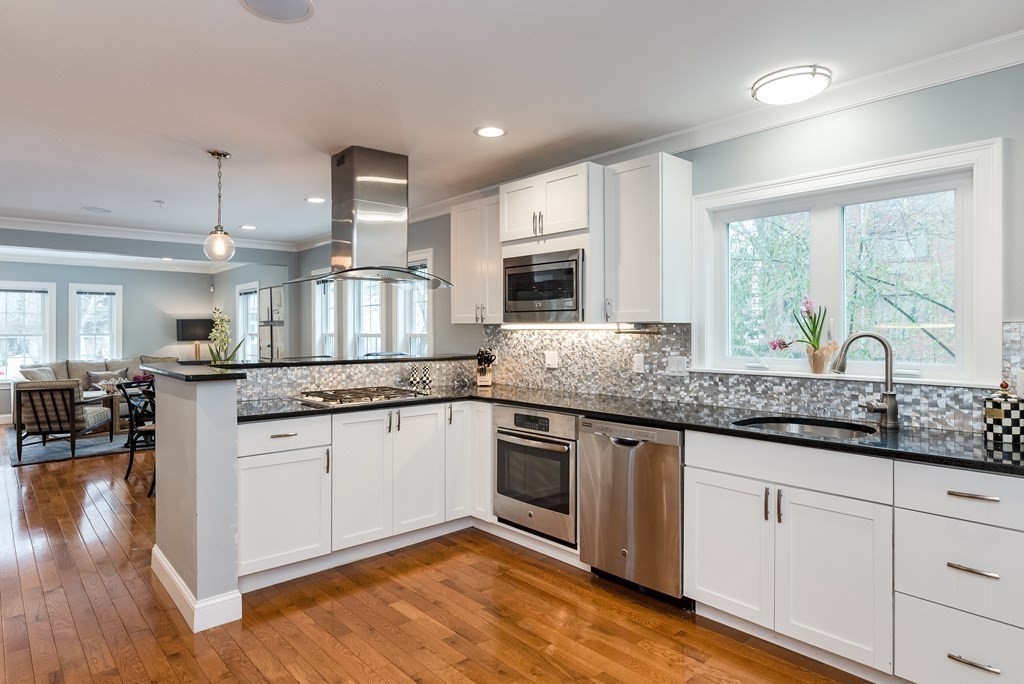 143 Williams Street, Unit 1 Boston, MA 02130 - Photo 2 of 19 a kitchen with granite countertop cabinets stainless steel appliances a sink and a large window