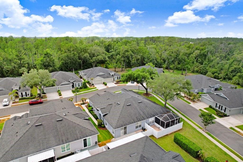 8531 Acorn Ridge Court Tampa, FL 33625 - Photo 31 of 39