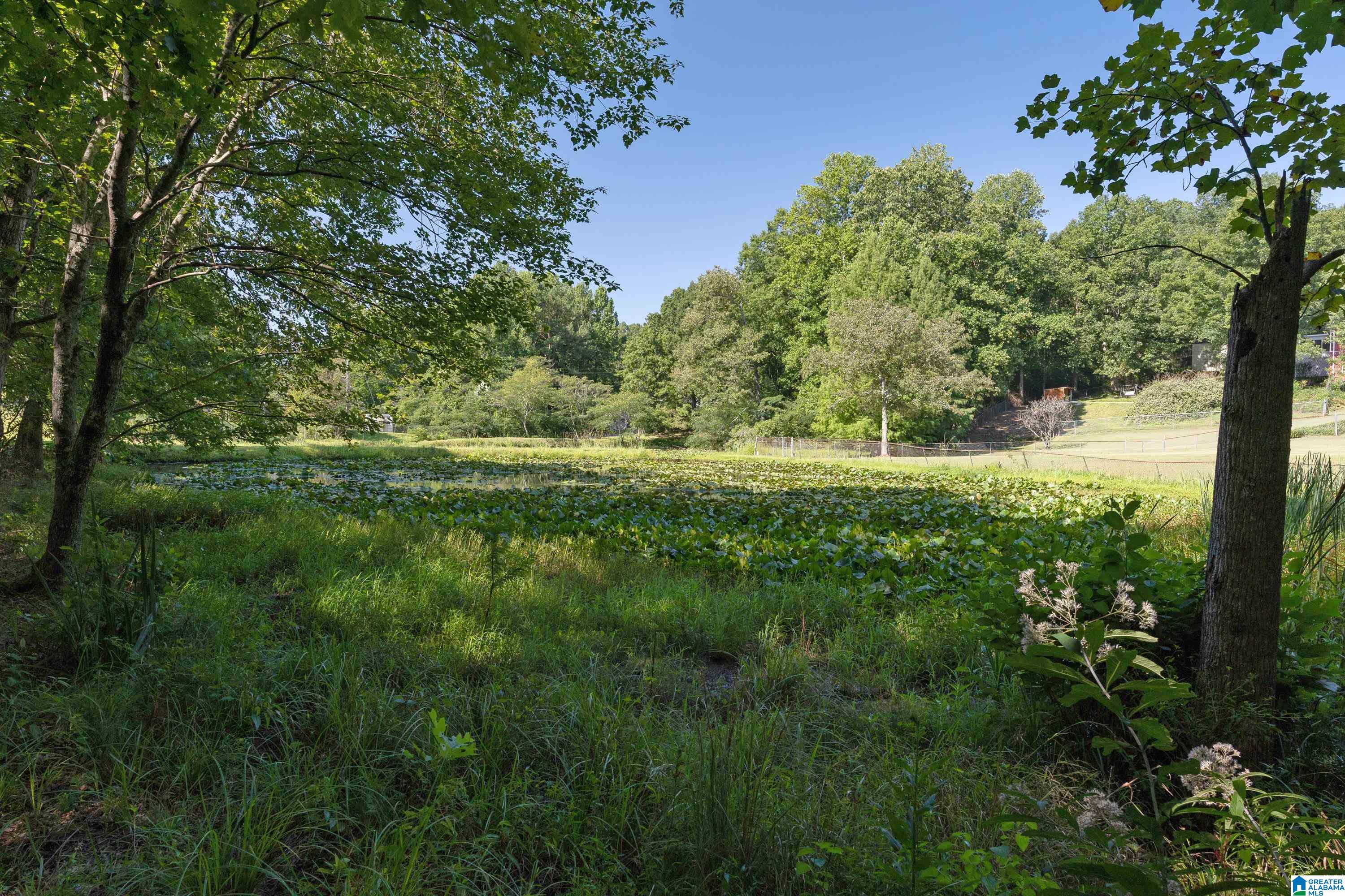 3392 Queenstown Road Trussville, AL 35173 - Photo 69 of 69