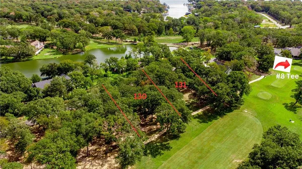 a view of a garden with plants