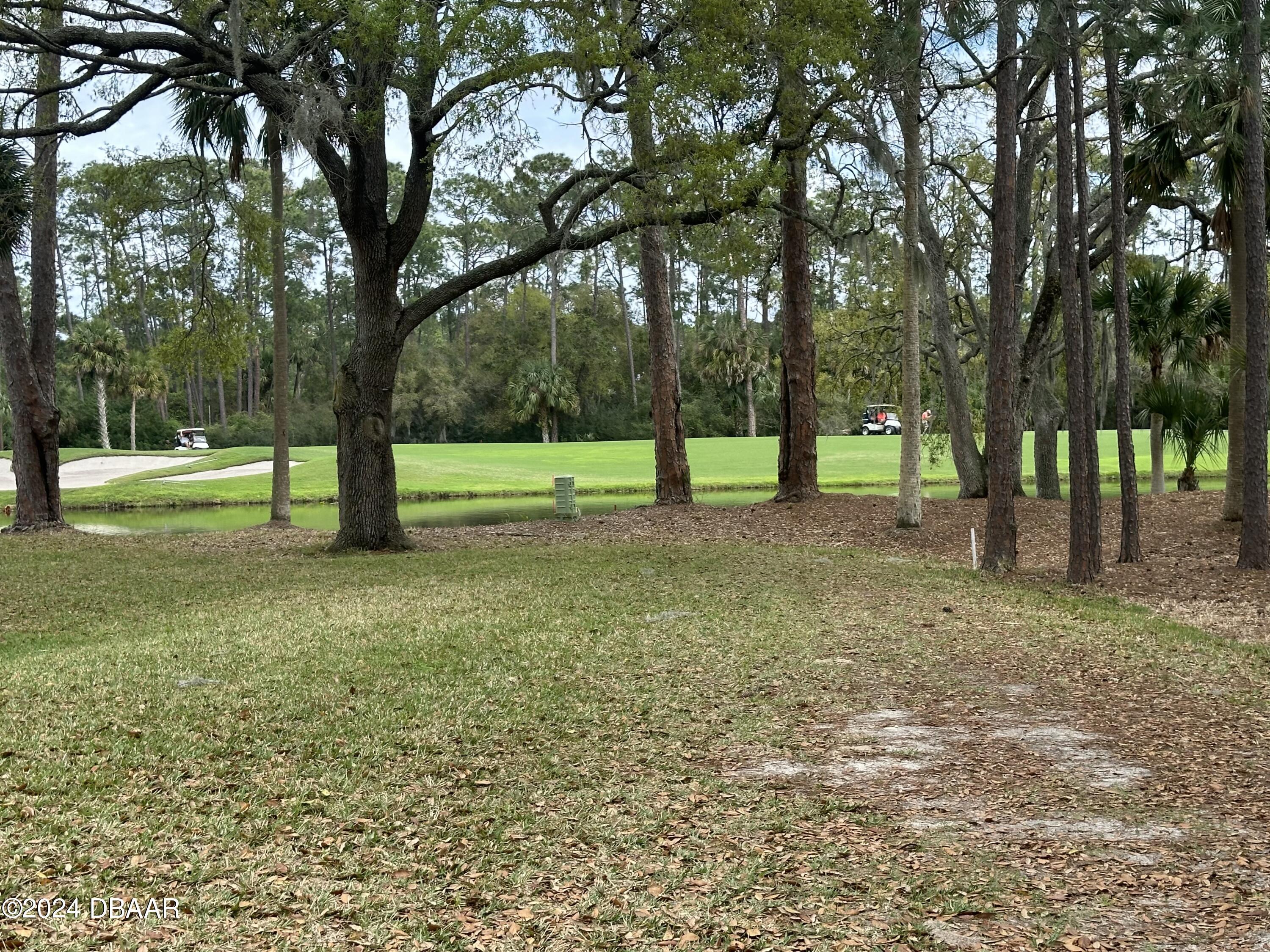 425 Long Cove Road Ormond Beach, FL 32174 - Photo 4 of 6 a view of outdoor space with trees