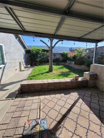 a view of a yard with plants and a large tree