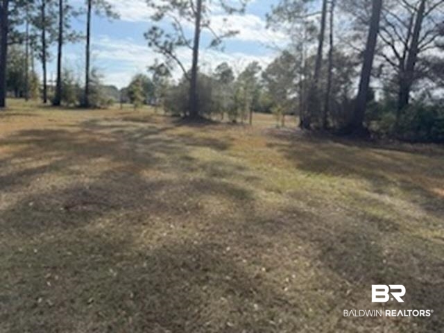 32840 Seminole Road West Seminole, AL 36574 - Photo 4 of 11 View of yard