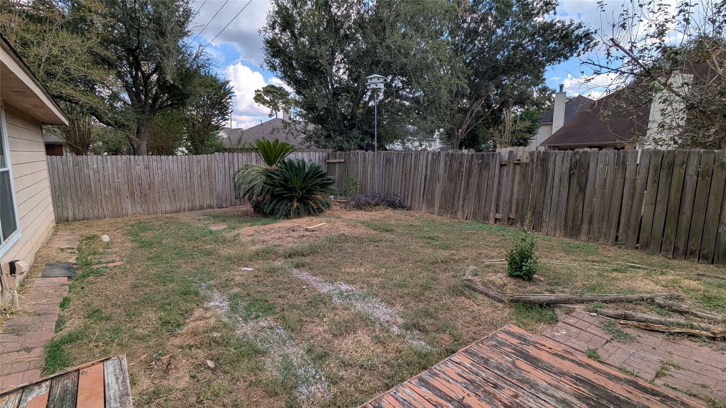 18319 North Willow Bluff Road Katy, TX 77449 - Photo 21 of 23 a view of a backyard with a tree