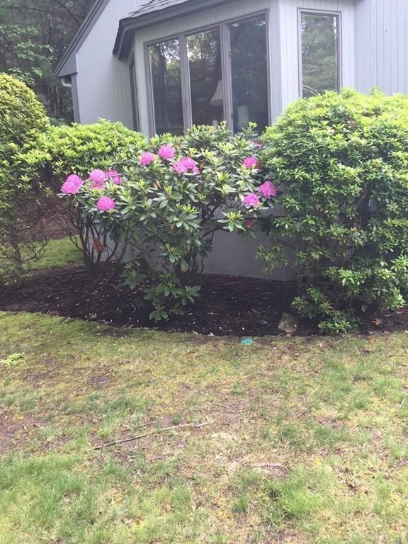 36 Eliot Hill Road Natick, MA 01760 - Photo 36 of 37 Gallery Image 36