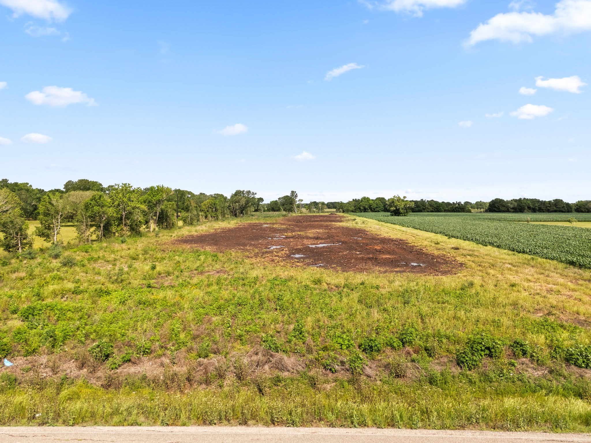 0 Modena School Road Rosenberg, TX 77471 - Photo 11 of 15