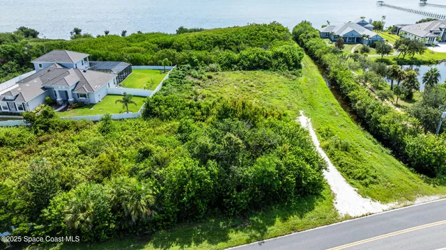 a view of a garden with plants