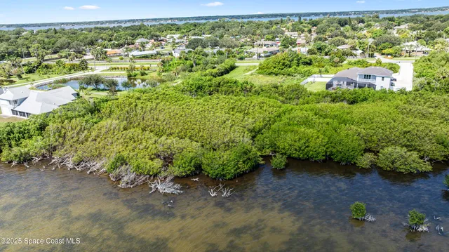 a view of a garden with an outdoor space