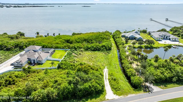 a view of a garden with plants