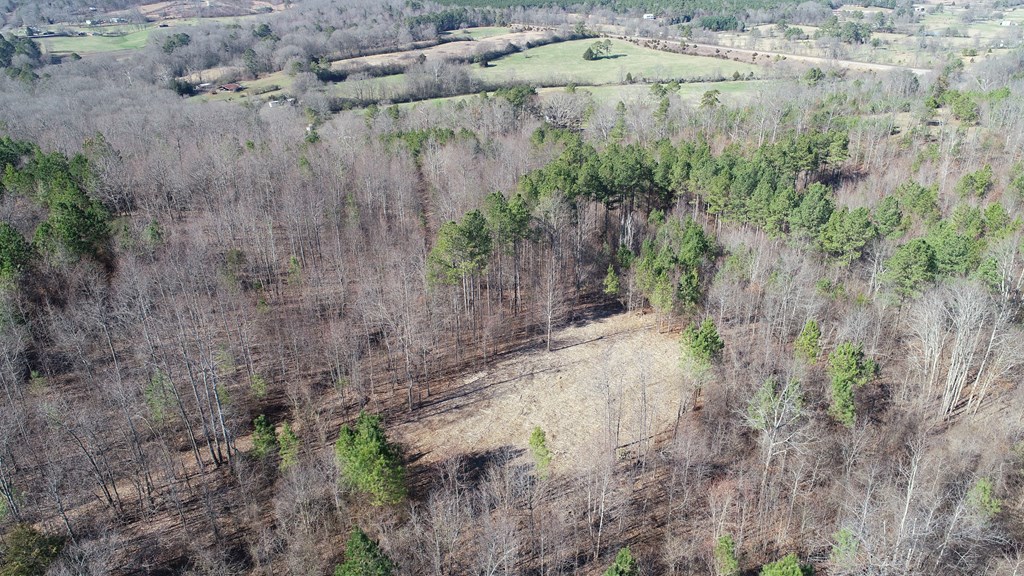 Tract #9 Tract Road, Unit TRACT #9 Cohutta, GA 30710 - Photo 13 of 15 LOT 9 UPPER WEST