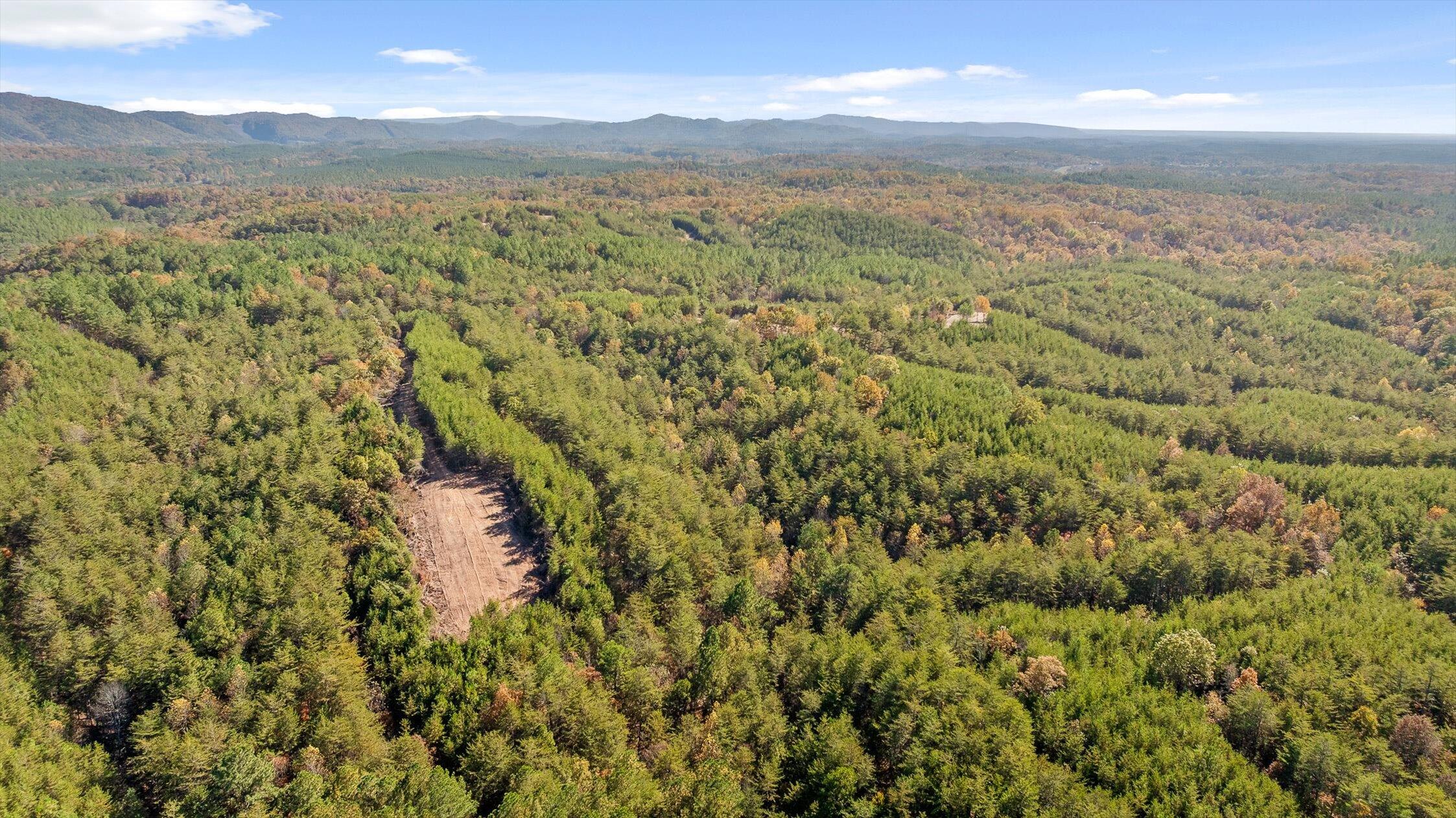 92-3 Conniston Road Chatsworth, GA 30705 - Photo 3 of 7 Tract 92